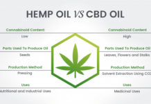 Difference between CBD oil and Hemp oil Difference between CBD oil and Hemp oil