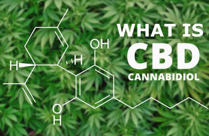 3743_xXHW_CBD What Is Cannabidiol