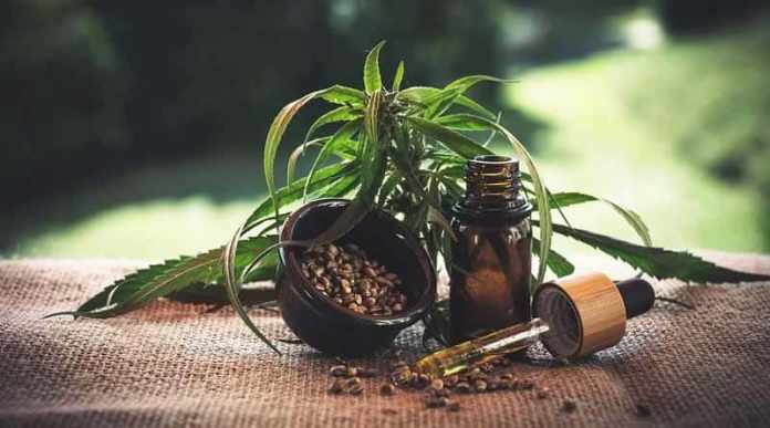 CBD-Hemp-Flower-min CBD Hemp Flower