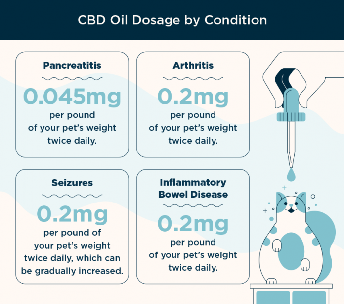 cbd-oil-dosage-by-condition CBD Oil Dosage