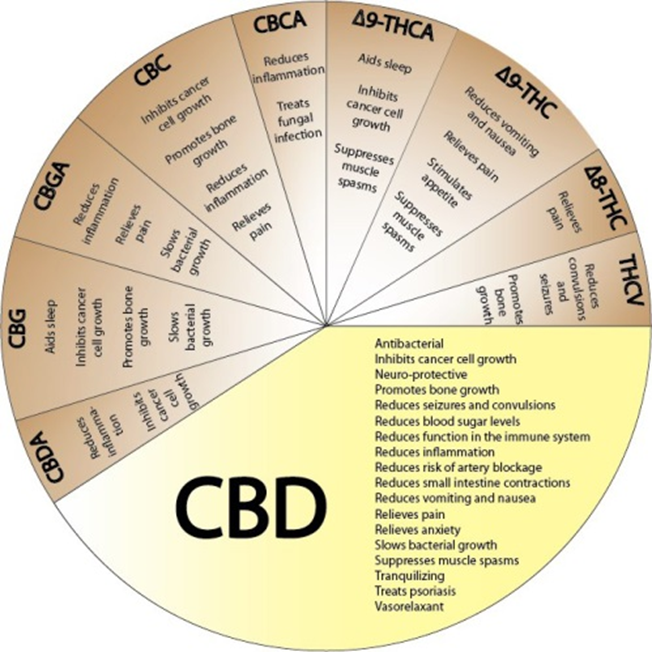 CBD_GRAPHICS
