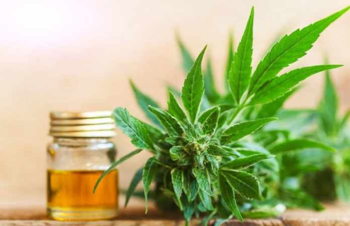Cannabidiol-Oil-Guide