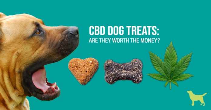 Cbd-treats-for-dogs CBD Dog Treats