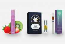 The Best CBD Oil Vape Pen for 2021 CBD Vape Pen