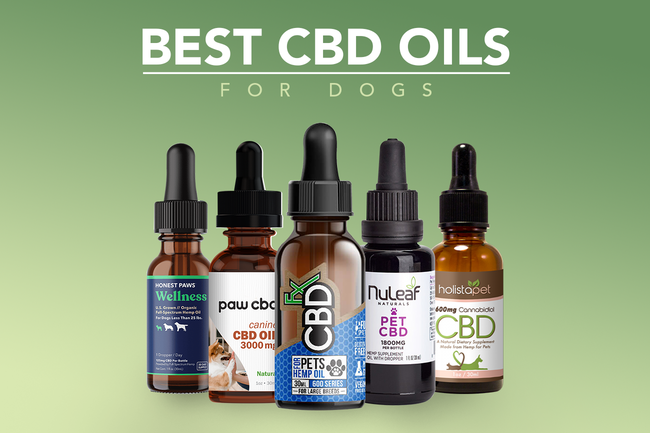 bestcbdoils CBD oil for dogs
