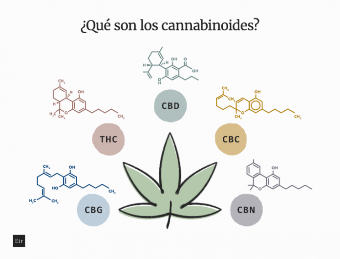 Eir_Health_Que_son__los_cannabinoides