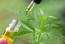 Beneficios del aceite de CBD en pacientes diabéticos y sus diversas formas