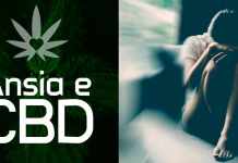 Olio di CBD per l’ansia