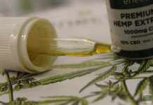 ¿El aceite de CBD funciona para aliviar el dolor? – Aceite de CBD para la ansiedad