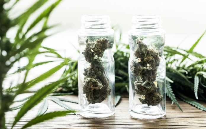 how-to-talk-about-cannabis-and-cancer-1280x800