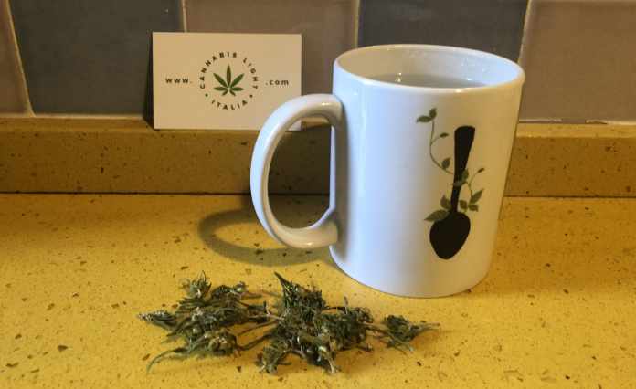 tisana-canapa-metodo-efficace-cbd-by-cannabis-light-italia-scaled