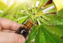 Wirkt CBD-Öl zur Schmerzlinderung? – CBD-Öl für Angst